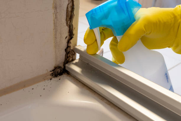 Best Crawl Space Mold Removal  in Hometown, IL