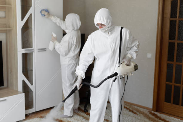 Mold Removal and Inspection in Hometown, IL
